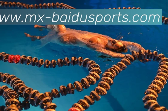 百度体育网站服务体系